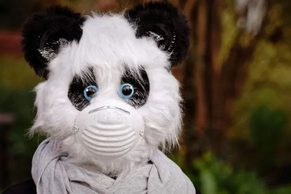 ביט רילס קזינו תמיכה